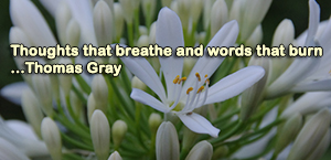 Profound poetry