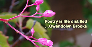 Beautiful poetry